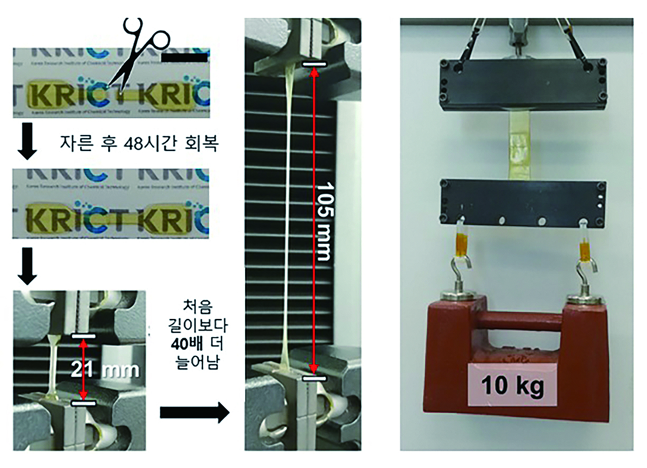 기사제목