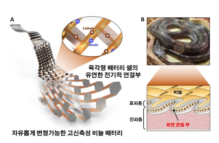 기사제목