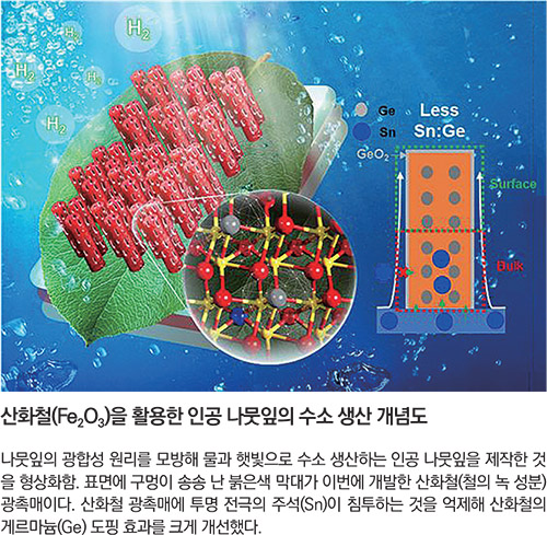 기사제목