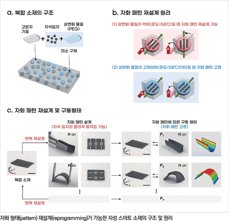 기사제목