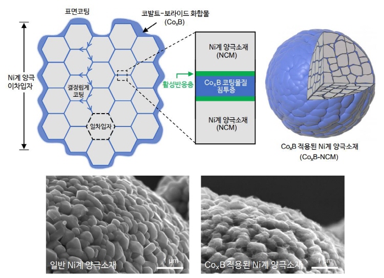 기사제목