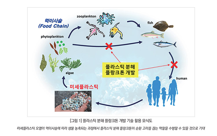 기사제목