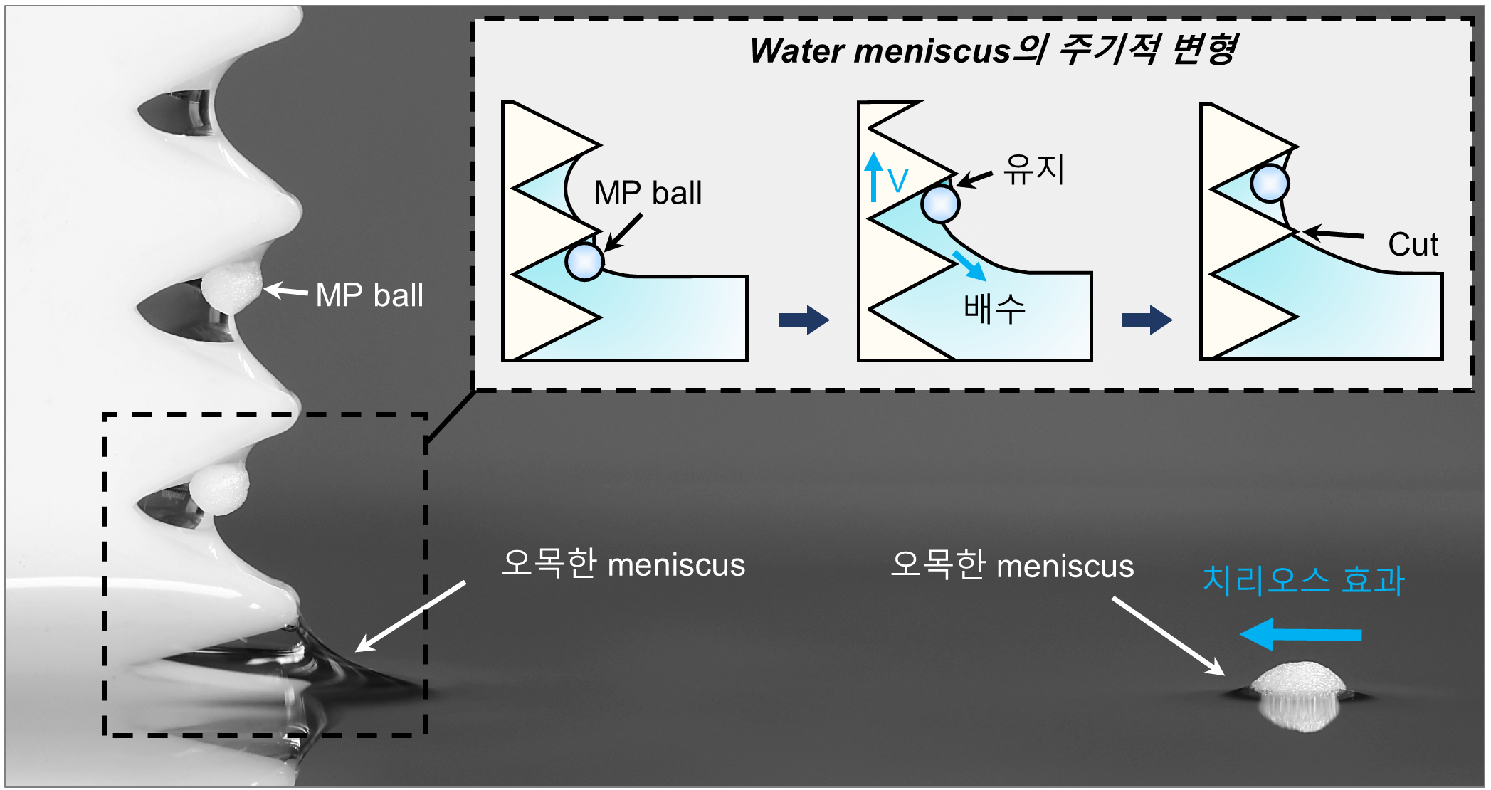 기사제목