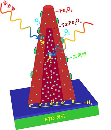 기사제목